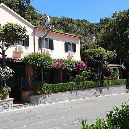 Da Zio Pino Hotell Maratea Exteriör bild